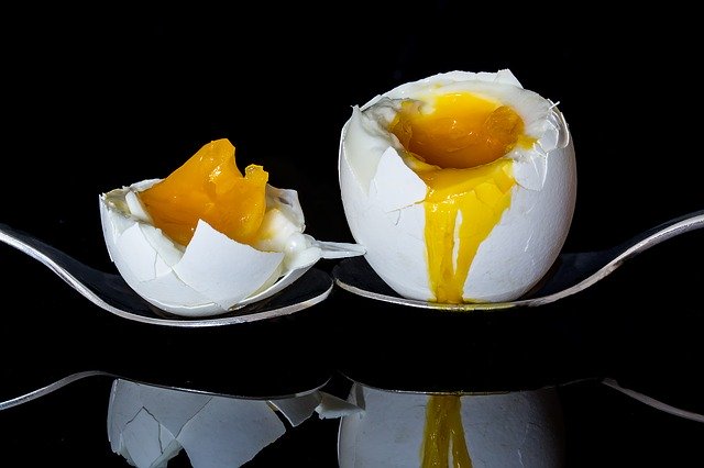 vejce jako zdroj bílkovin