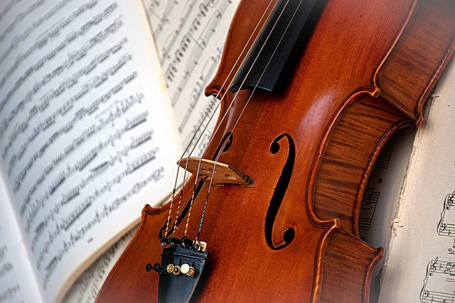 The violin is perefct.